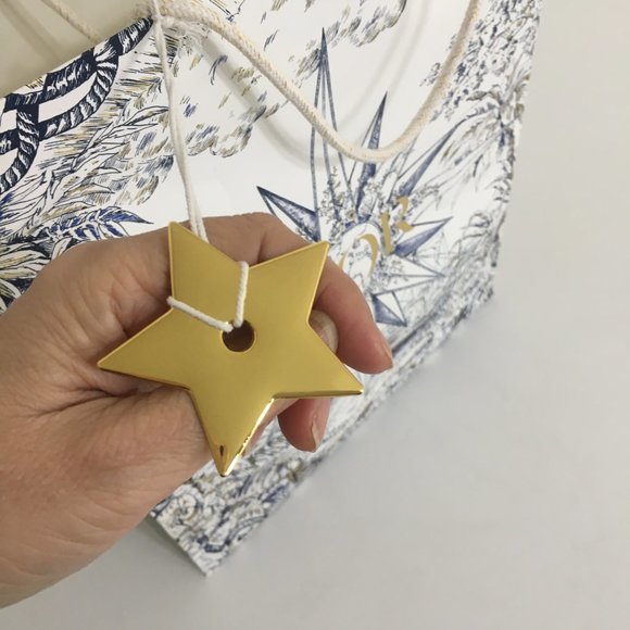 Dior 2022 Holiday Nautical Toile Gift Bag 17x14x6.5" w/Gold Star Charm RARE!! - Picture 4 of 16